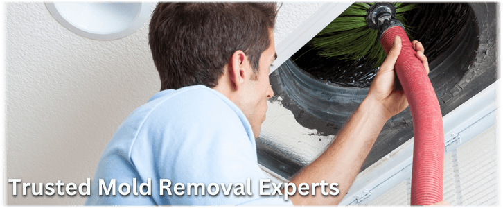 Air Duct Mold Removal in Surprise AZ